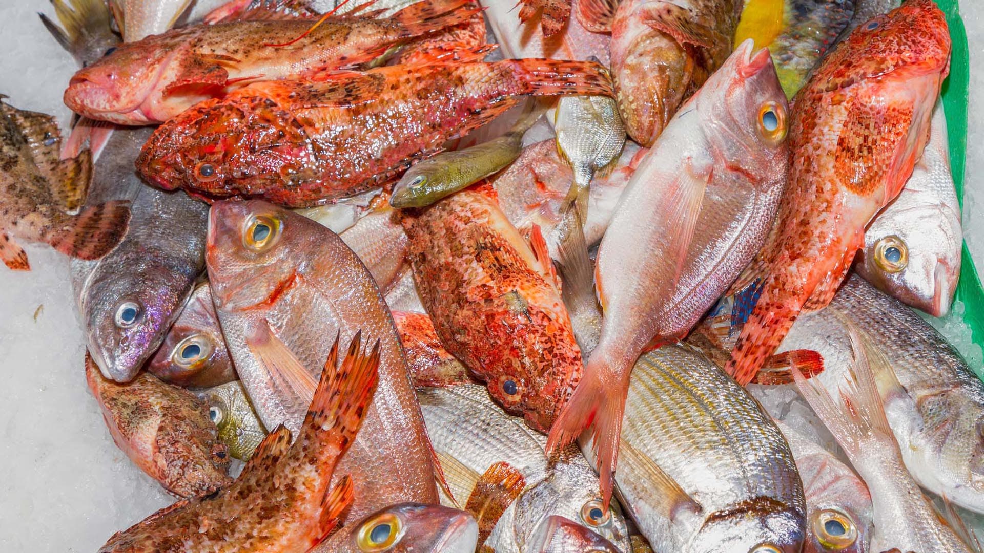 Benefits of Omega-3