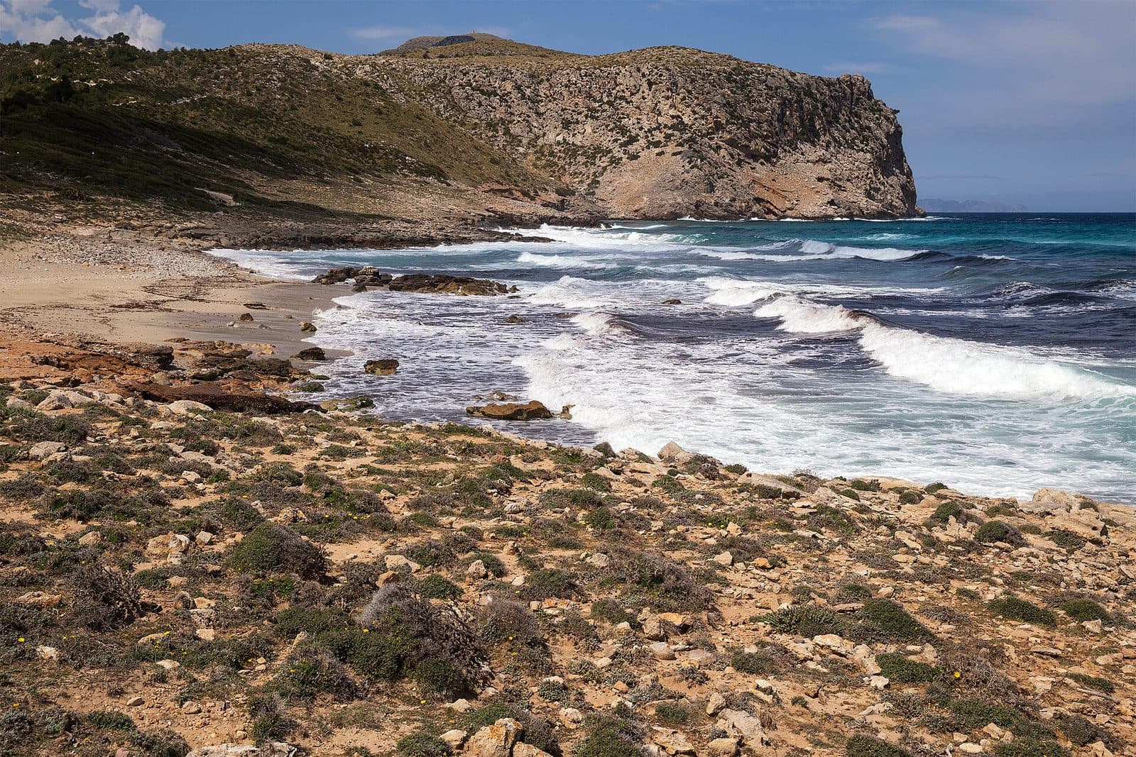 Arenalet Verger, Mallorca
