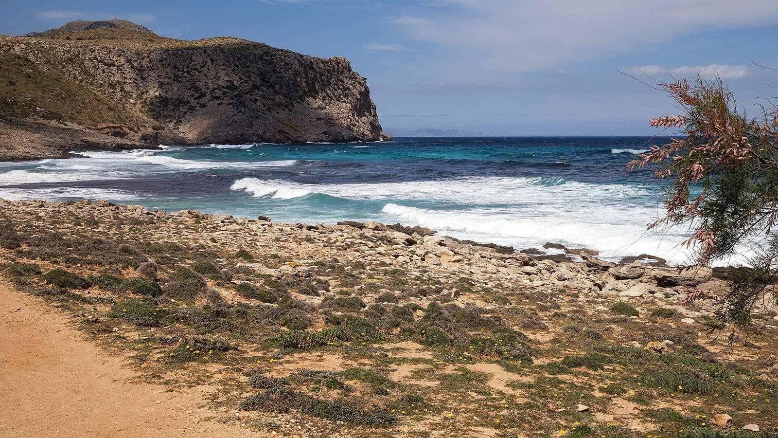 Arenalet Verger, Mallorca