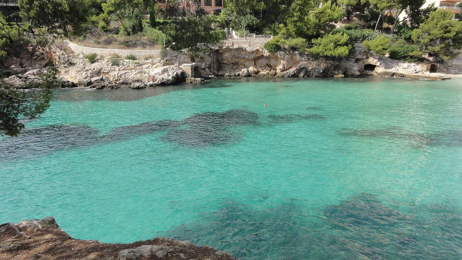 Playa de Caleta Portals Nous