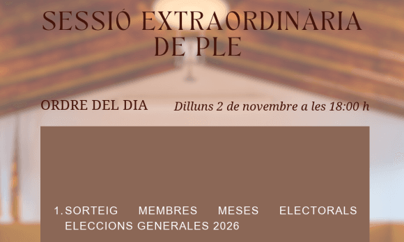 Extraordinary plenary session