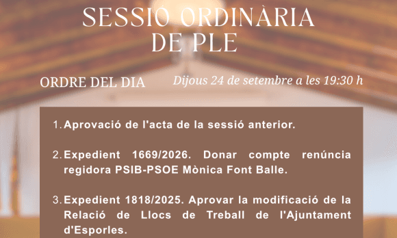 Ordinarie plenarsammanträde