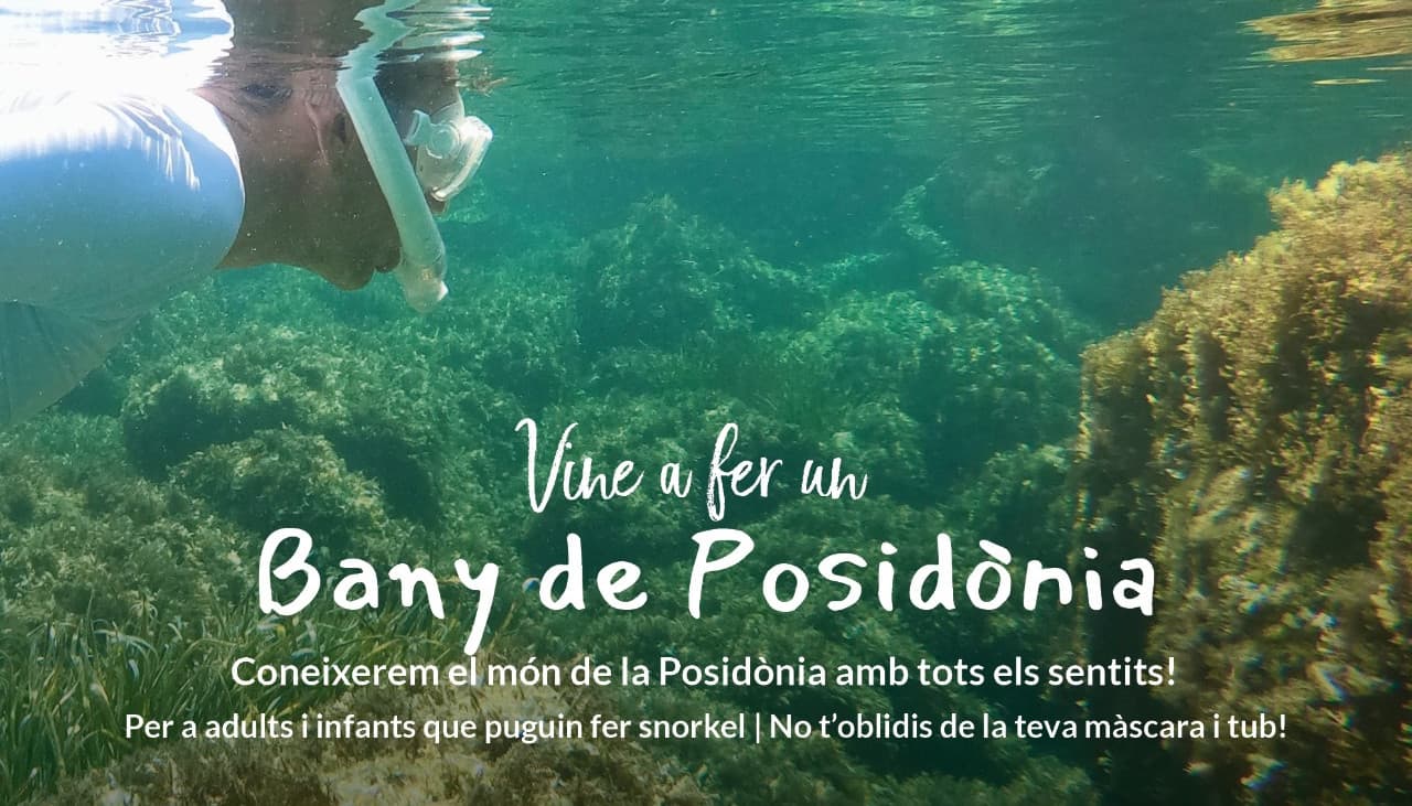 VEN A DARTE UN BAÑO DE POSIDONIA