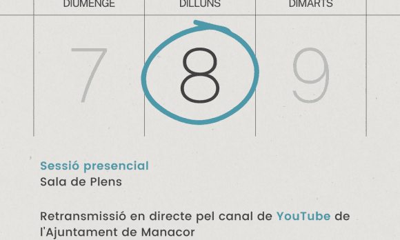 Pleno municipal ordinario junio 2026