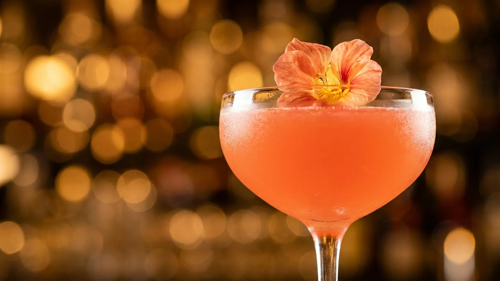 Arlequín Cocktail Bar – Cafés & Bars in Mallorca