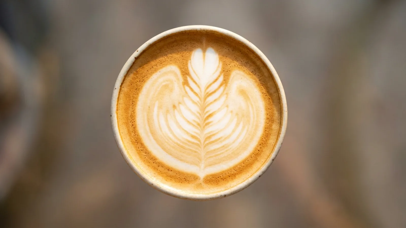 Mistral Coffee – Eindruck 4