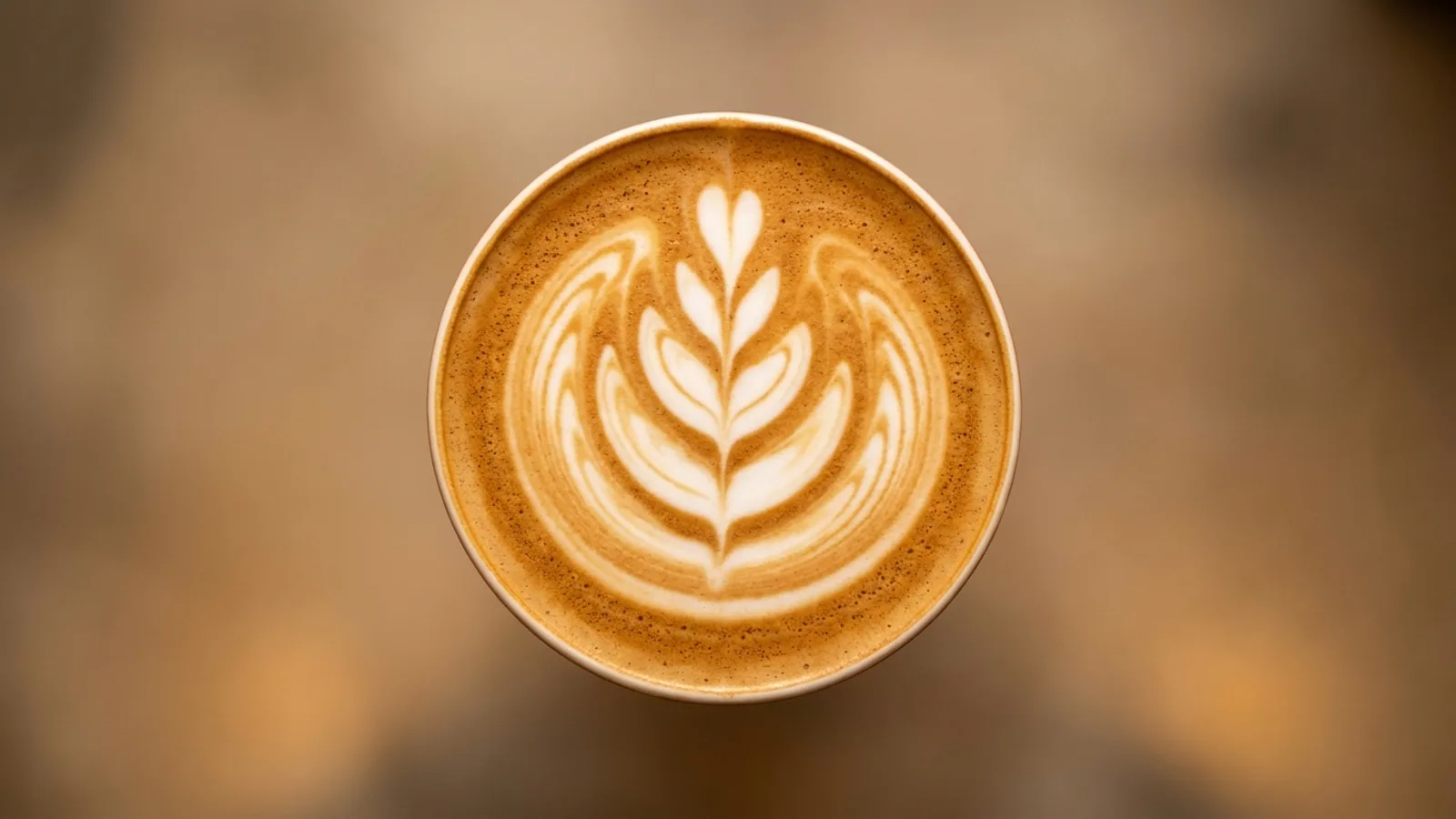 Noti Specialty Coffee – Eindruck 4