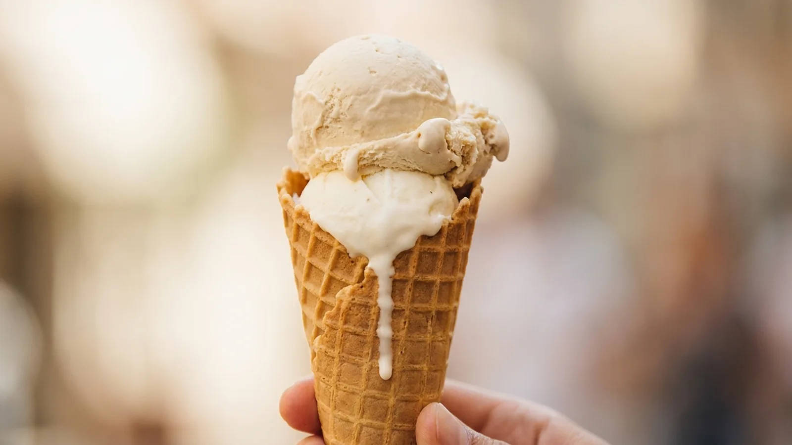 Gelat Sóller – impression 2