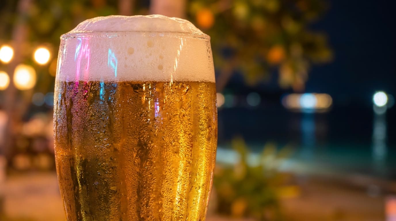 BH Mallorca – Vida nocturna en Mallorca