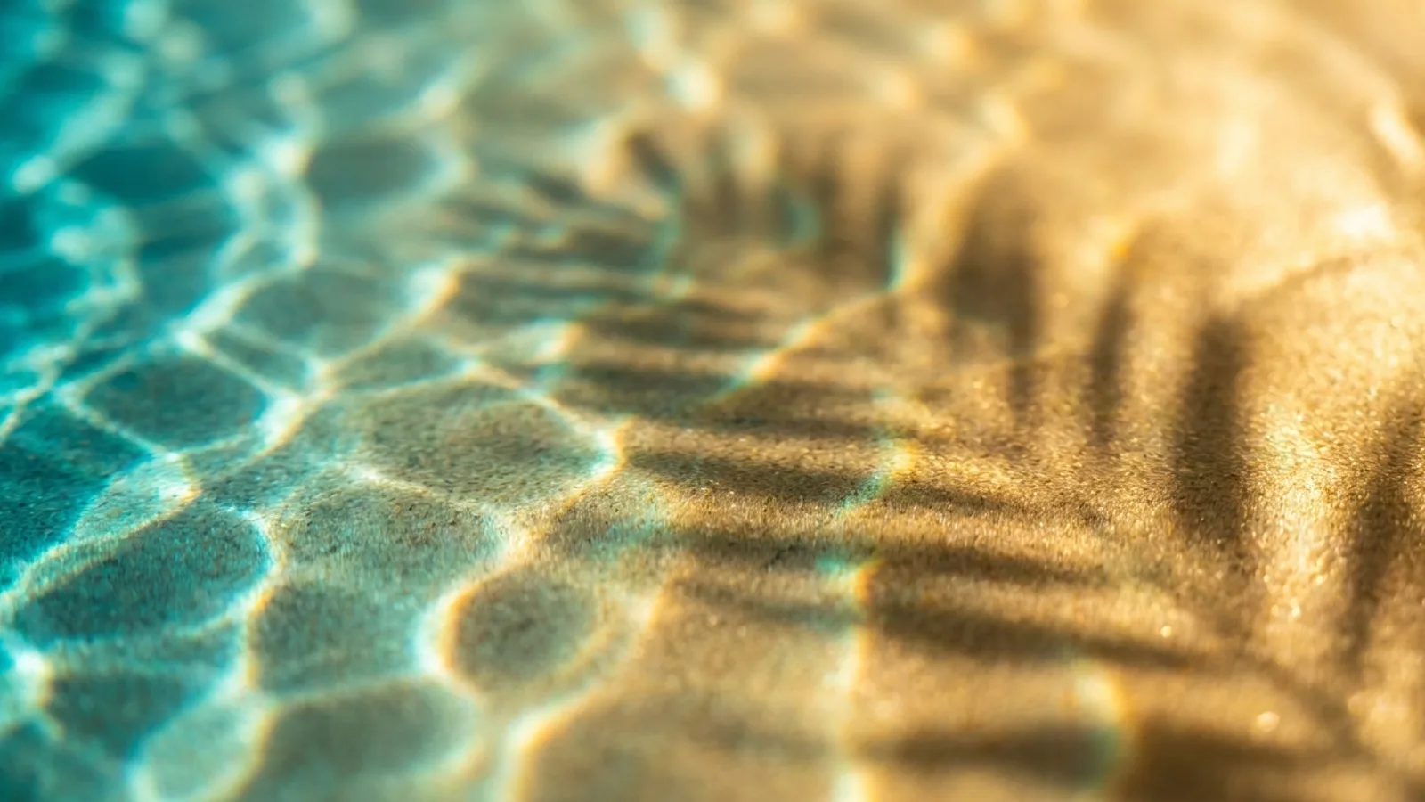 Mar Sea Club – Beach Clubs in Mallorca