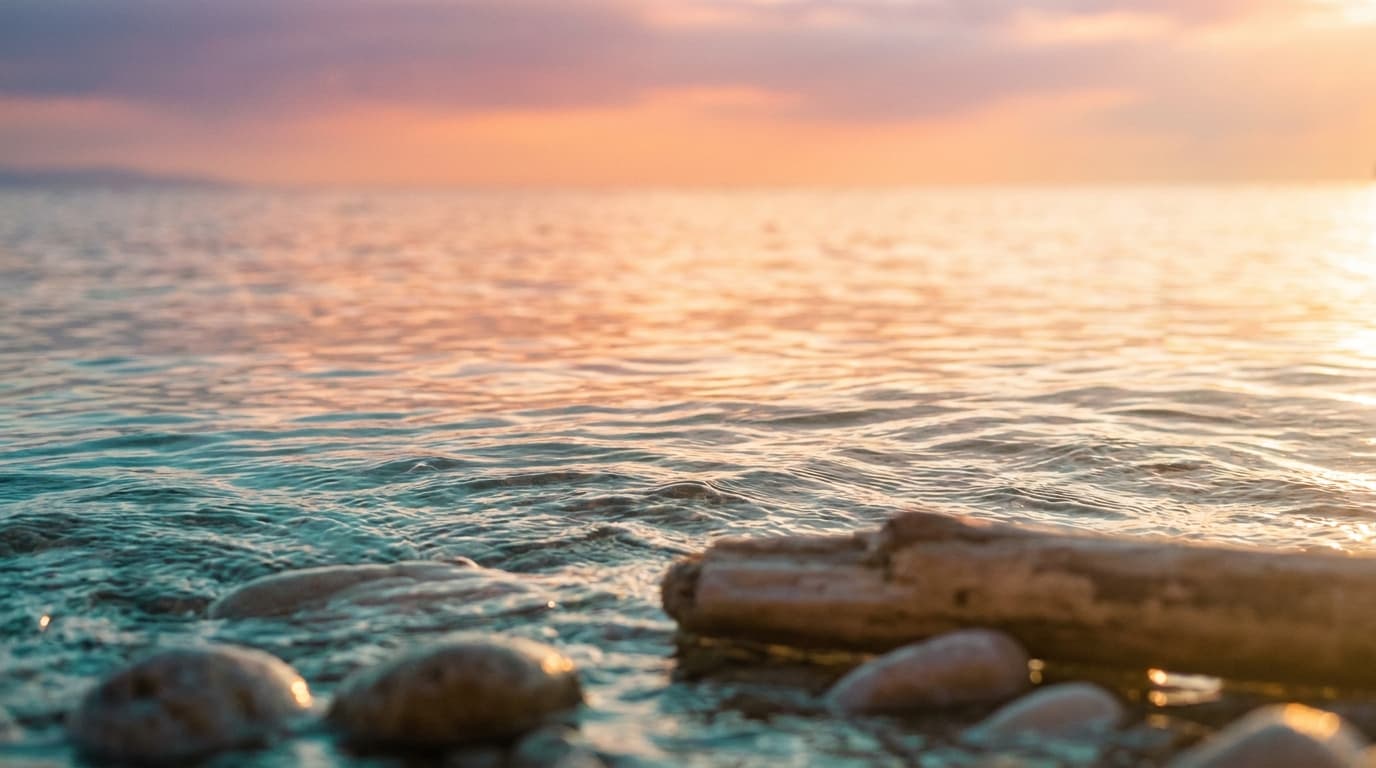 Mood Beach Club – Beachclubs auf Mallorca