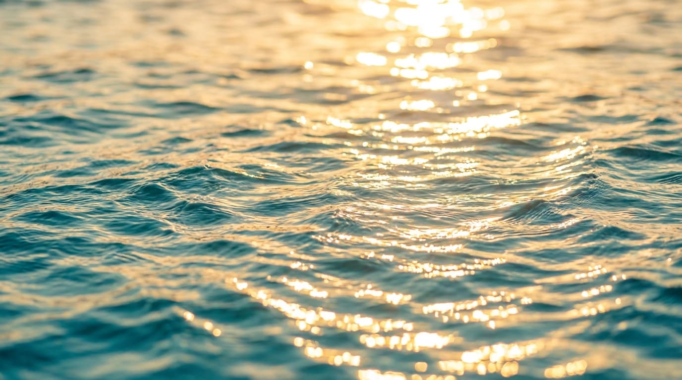 Ocean's Calvià Beach – impresión 2