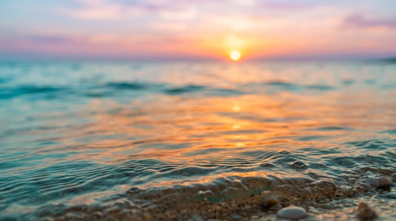 Purobeach Illetas – Clubs de playa en Mallorca