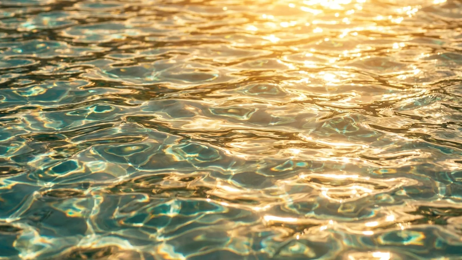 Purobeach Palma – impression 4