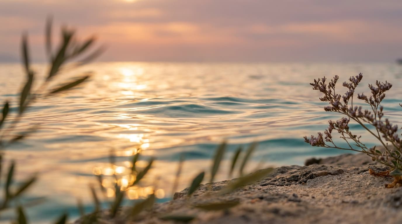 The Sea Club – Clubs de playa en Mallorca