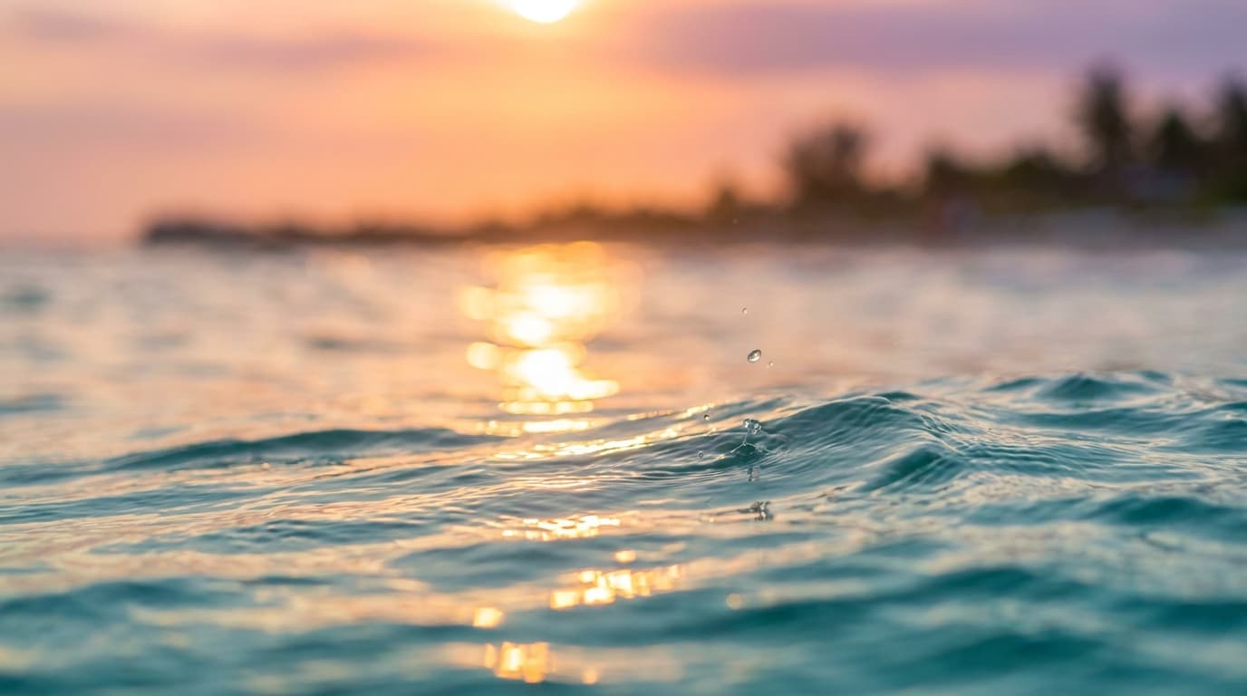 The Sunset Sea Club – Beachclubs auf Mallorca