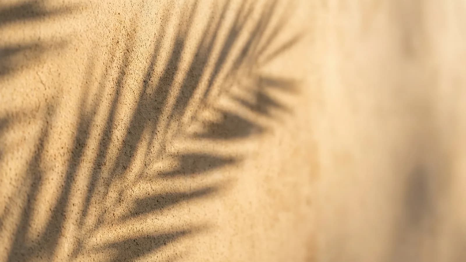 UM Beach House – impression 4