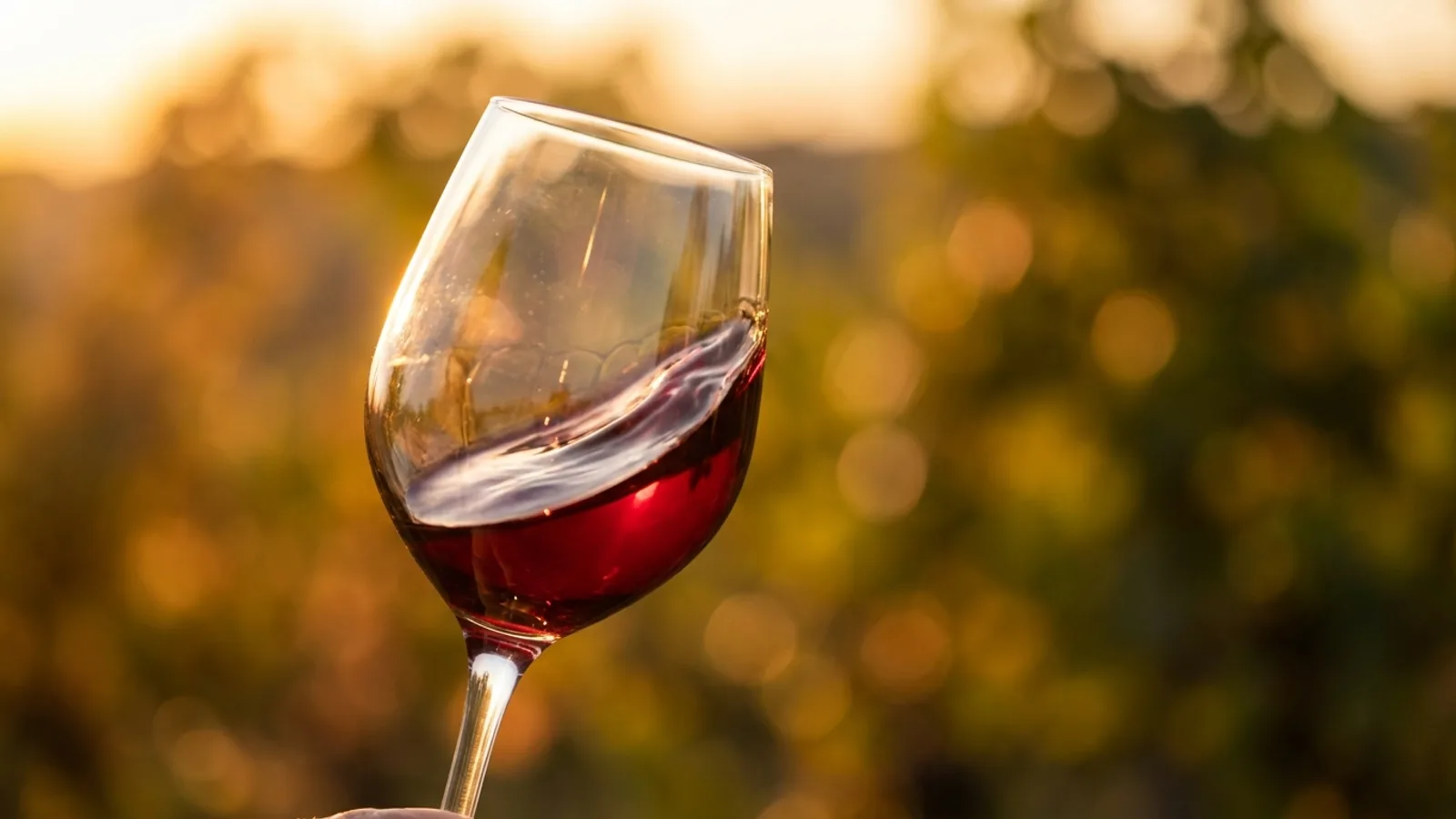 Bodega Ribas – Wineries in Mallorca