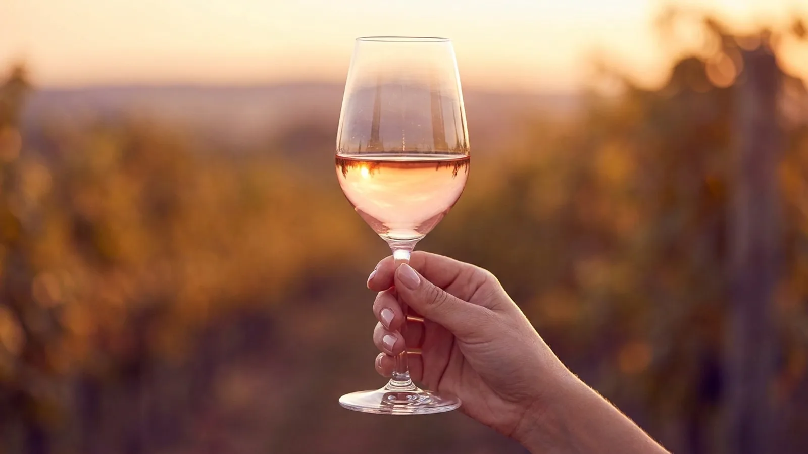 Celler Tianna Negre – impression 3