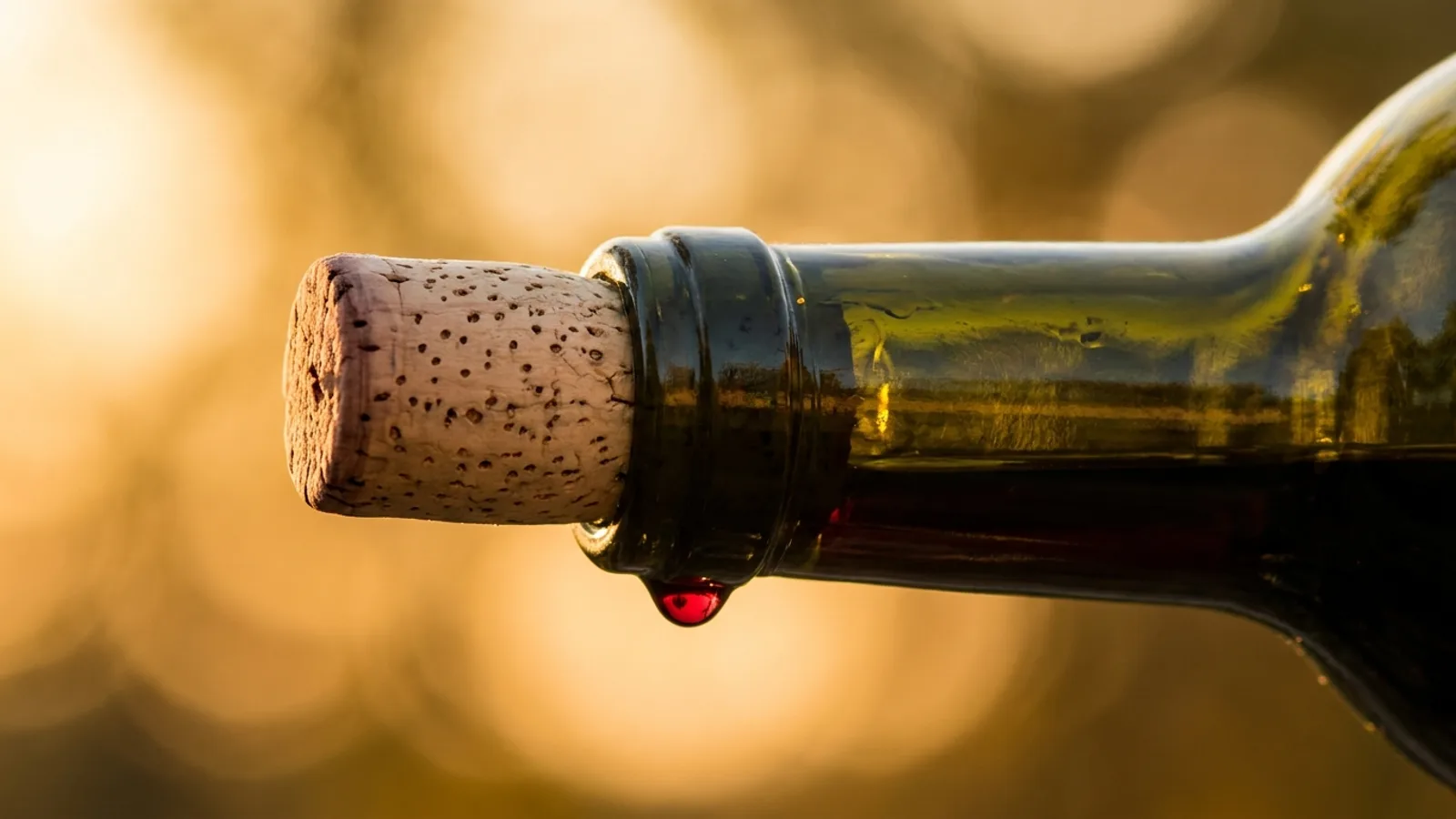 Celler Tianna Negre – Wineries in Mallorca