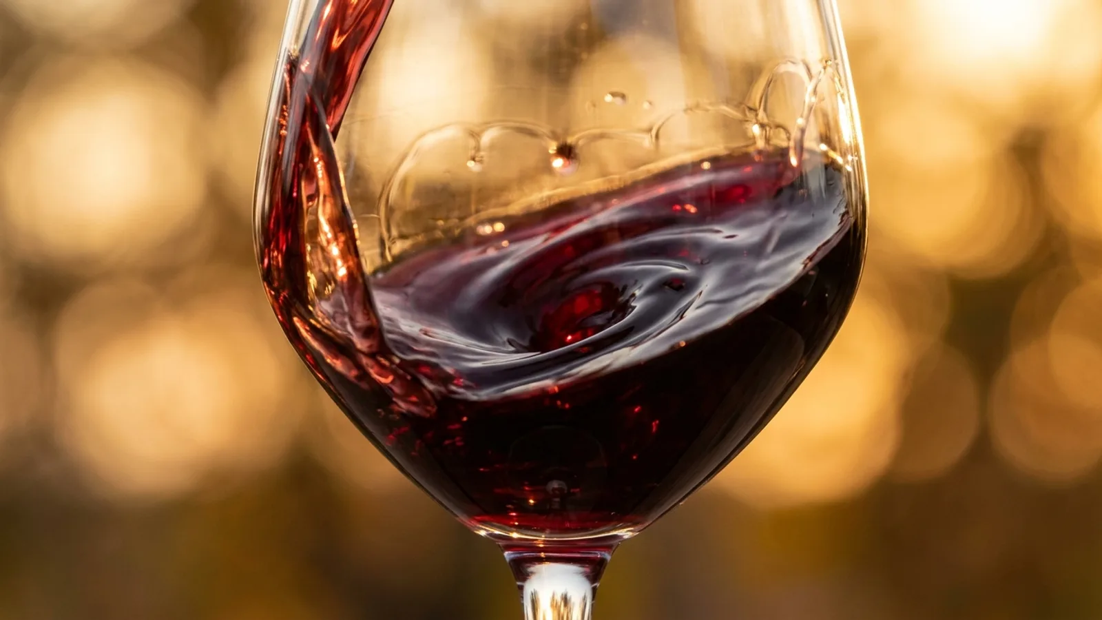 Bodegas José L. Ferrer – impression 1