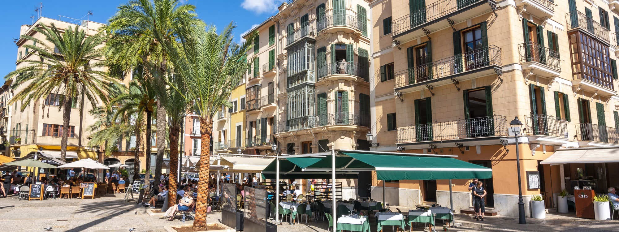 Palma