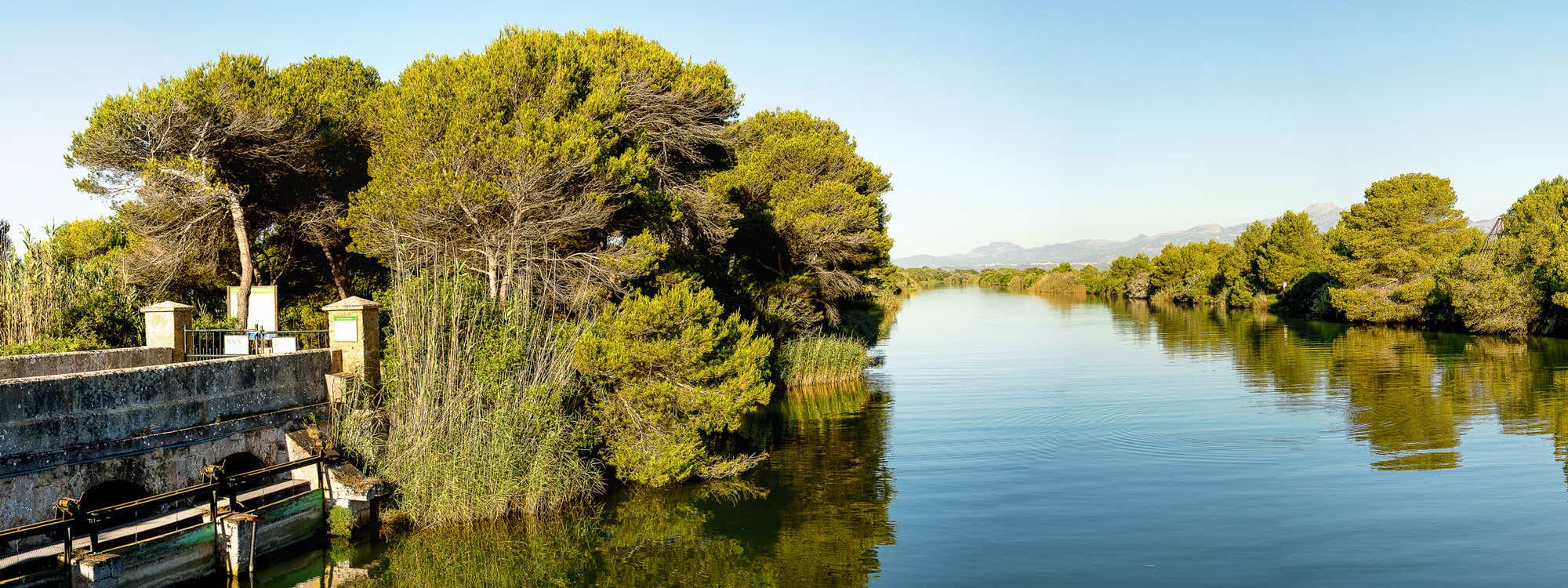 Naturpark S’Albufera