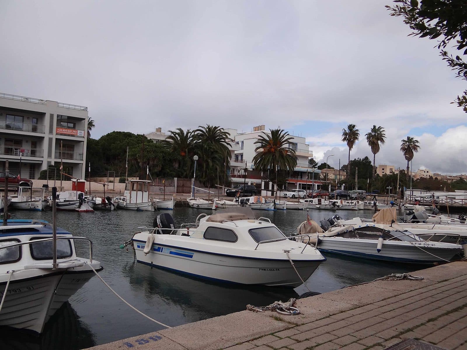 Cala Anguila-Cala Mendia, Mallorca
