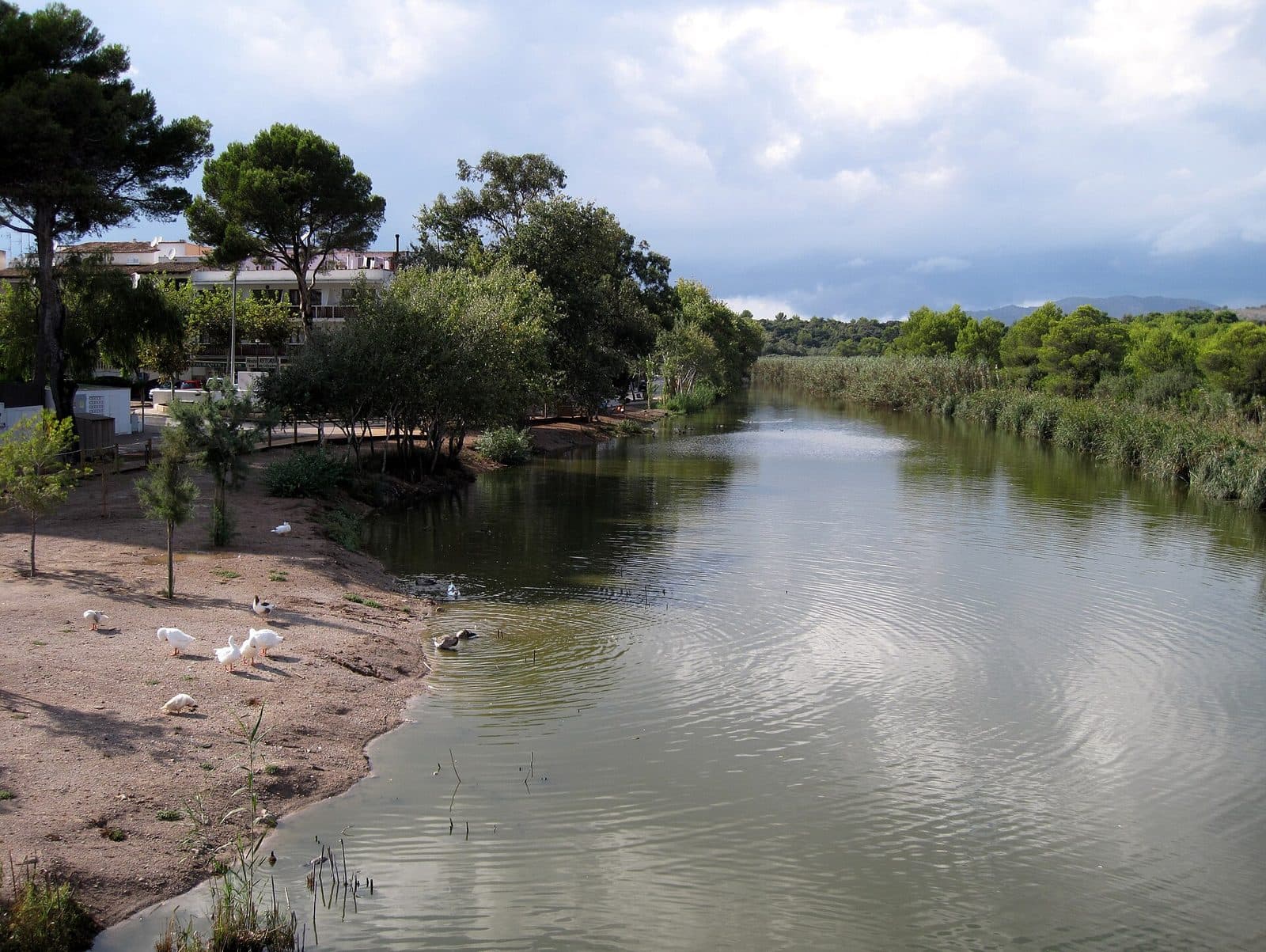 Canyamel Coves