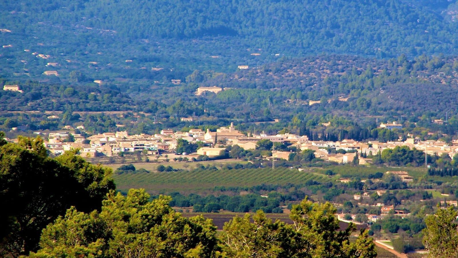 Consell, Mallorca