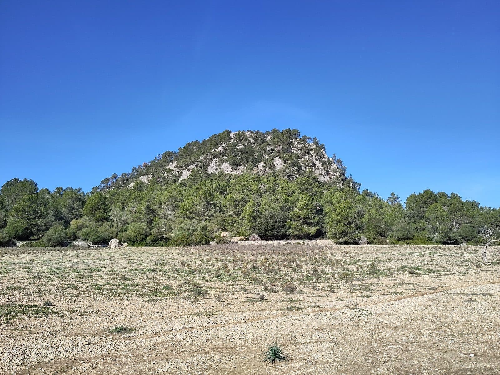 puig de na Bauçana, Mallorca