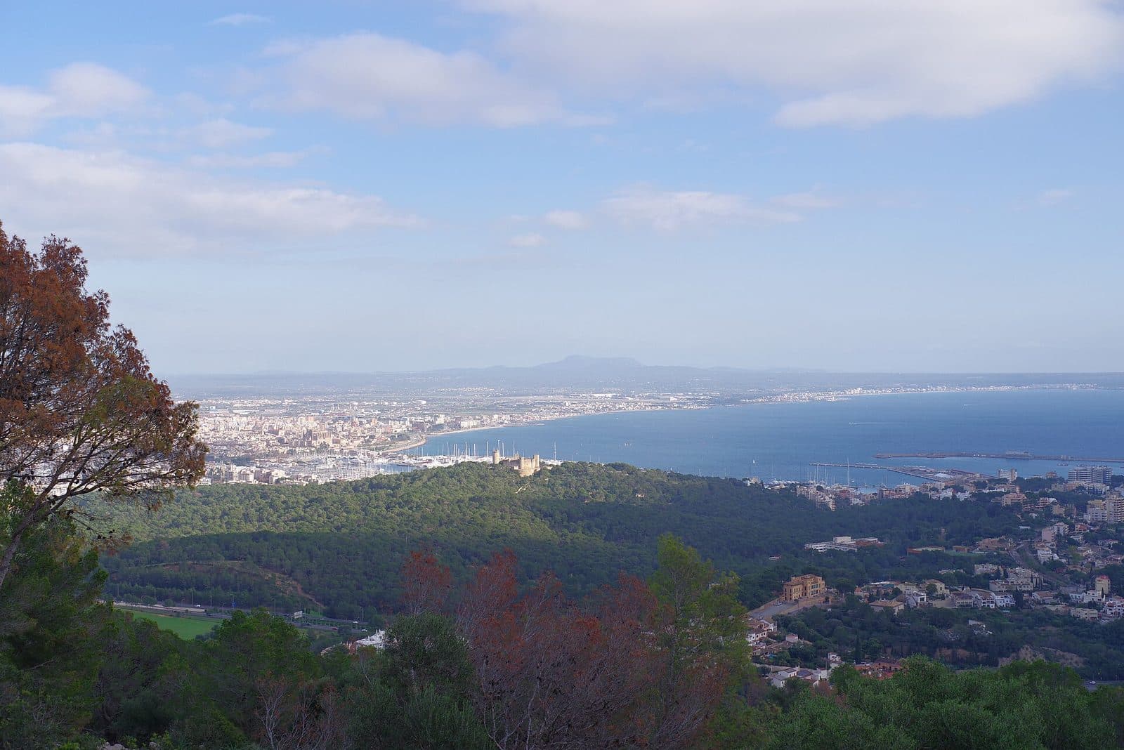 So n'Espanyol, Mallorca