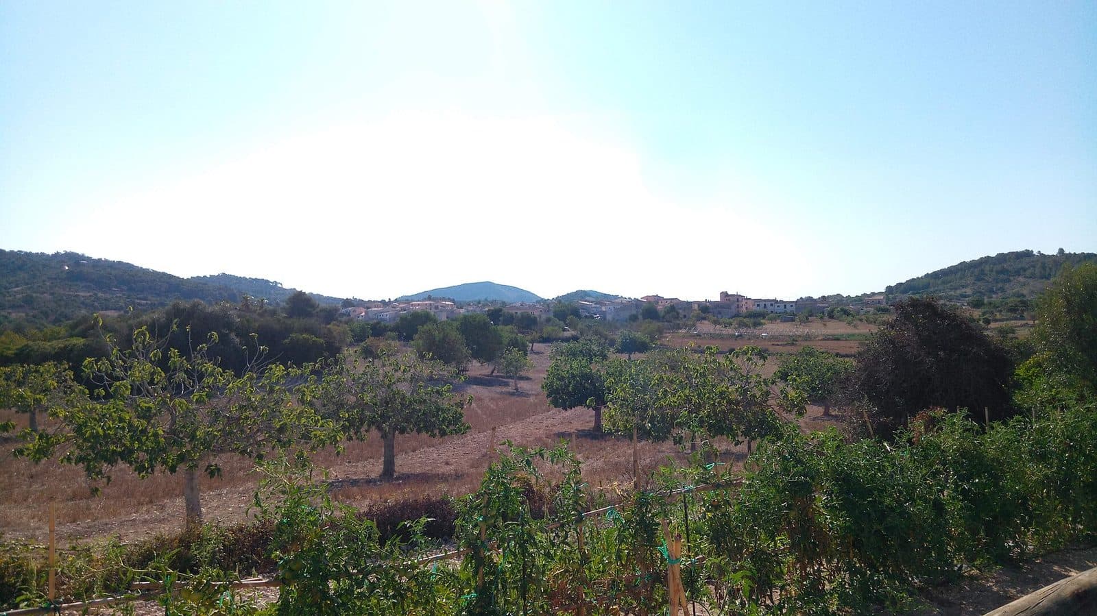 Son Macià, Mallorca