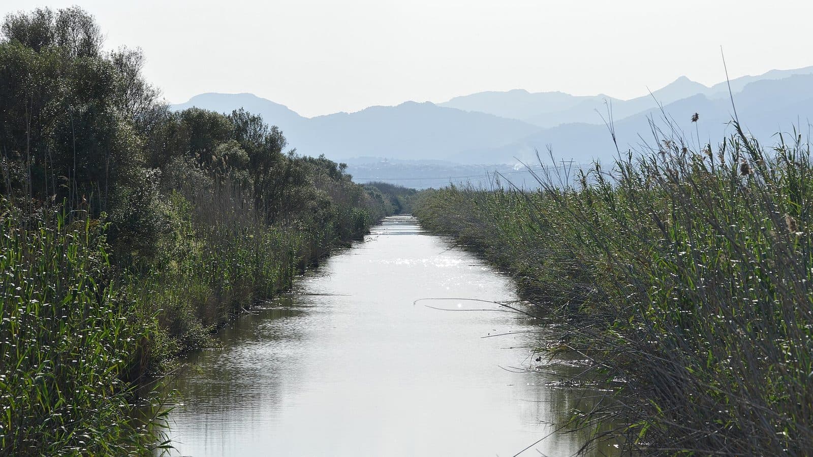 Aguait des Gran Canal, Mallorca