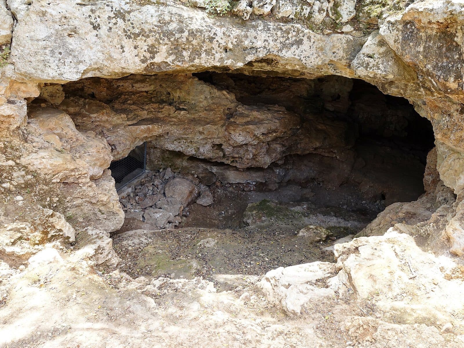 cova des Camp del Bisbe, Mallorca