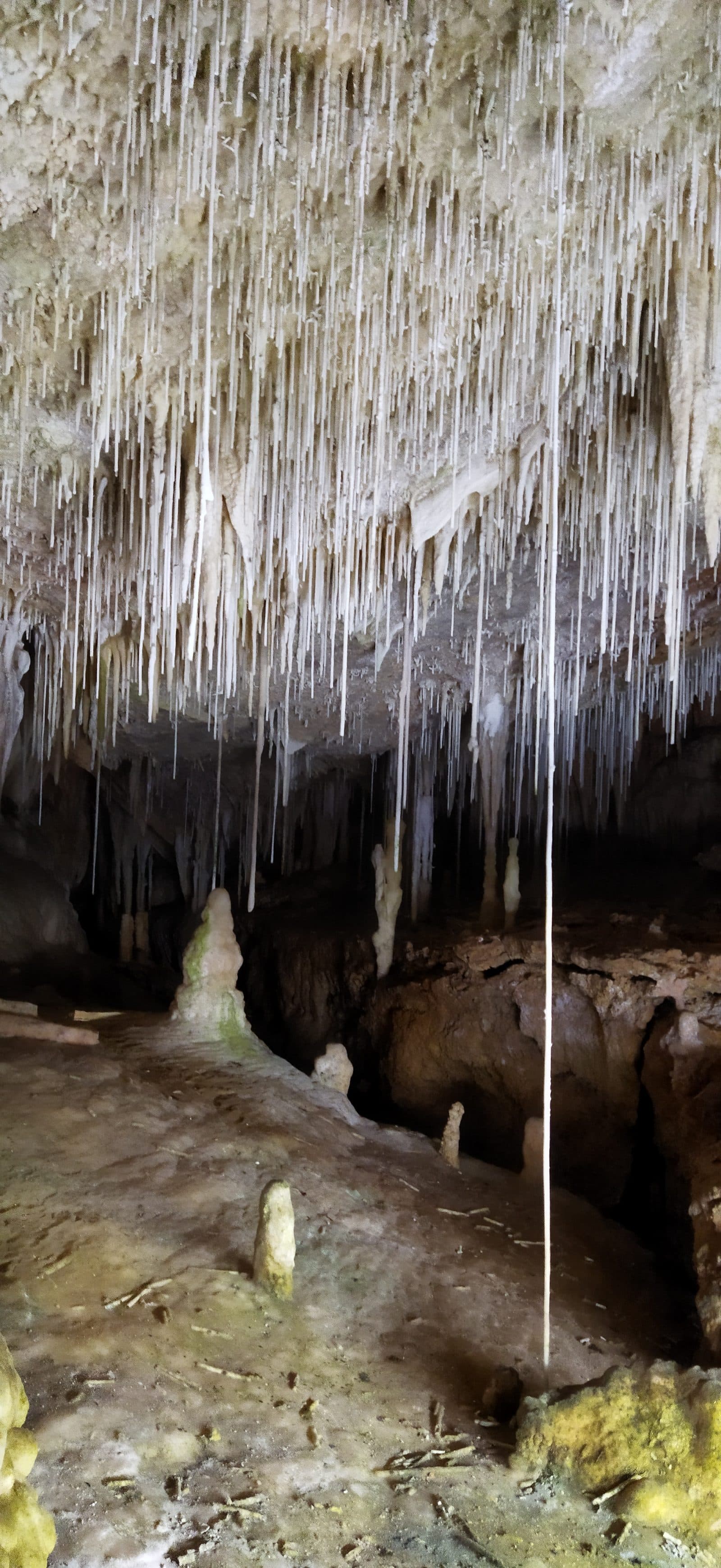 Coves de Campanet, Mallorca