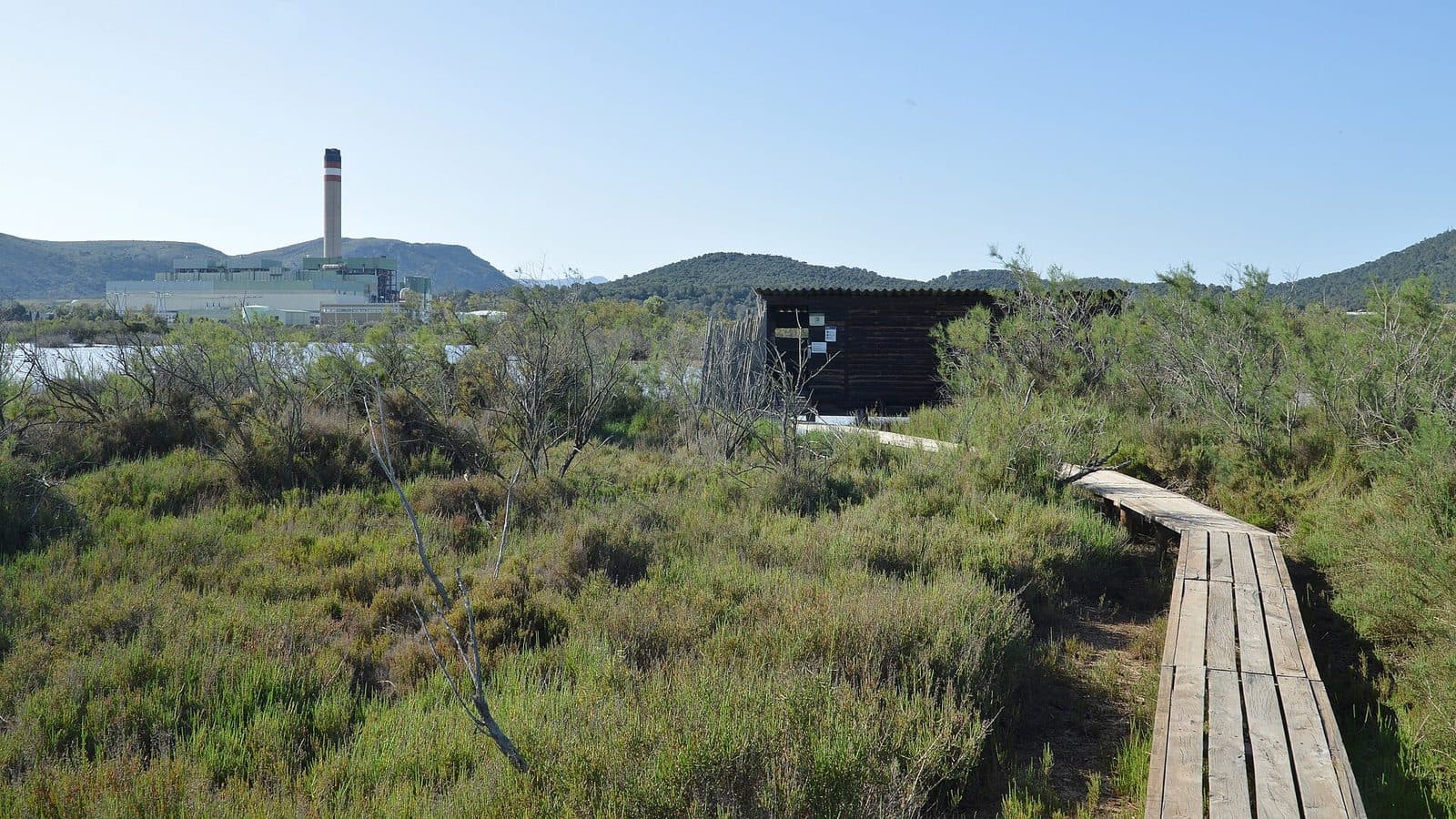Es Cibollar II, Mallorca