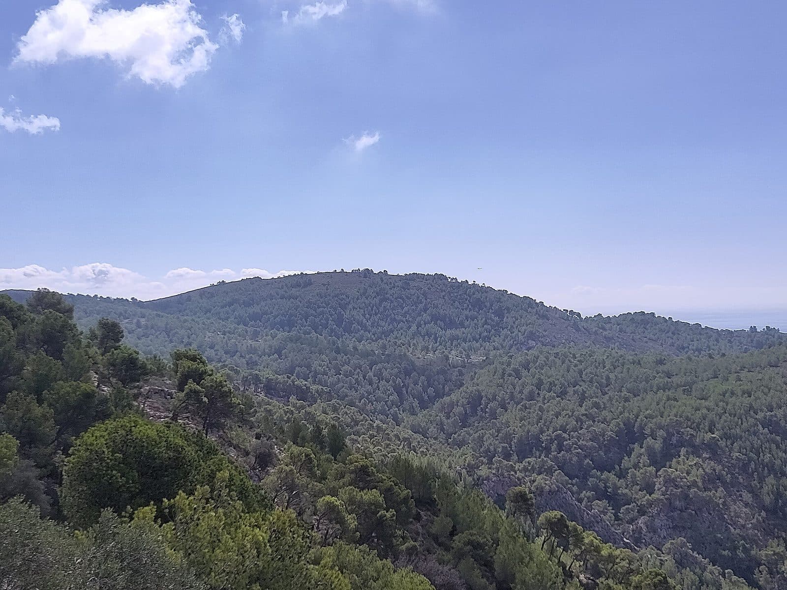 Mirador de n'Alzamora, Mallorca