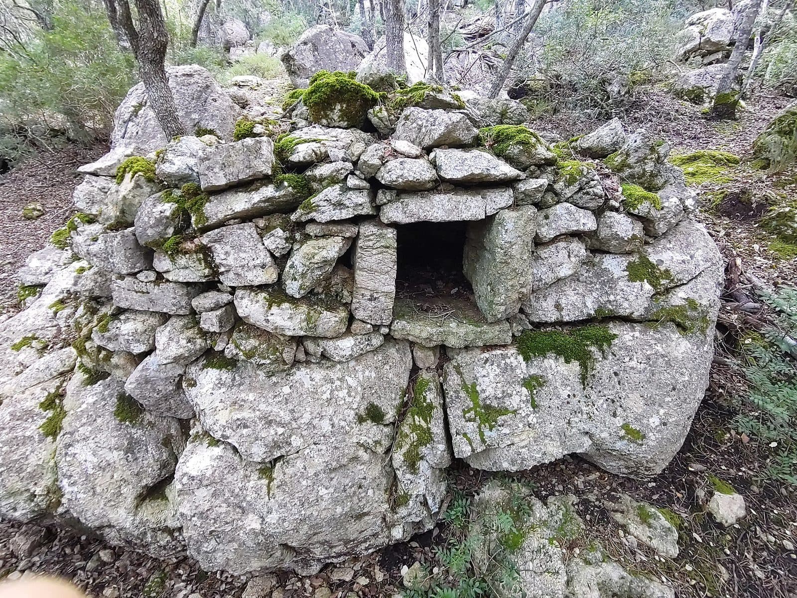 Muntanya del Voltor, Mallorca