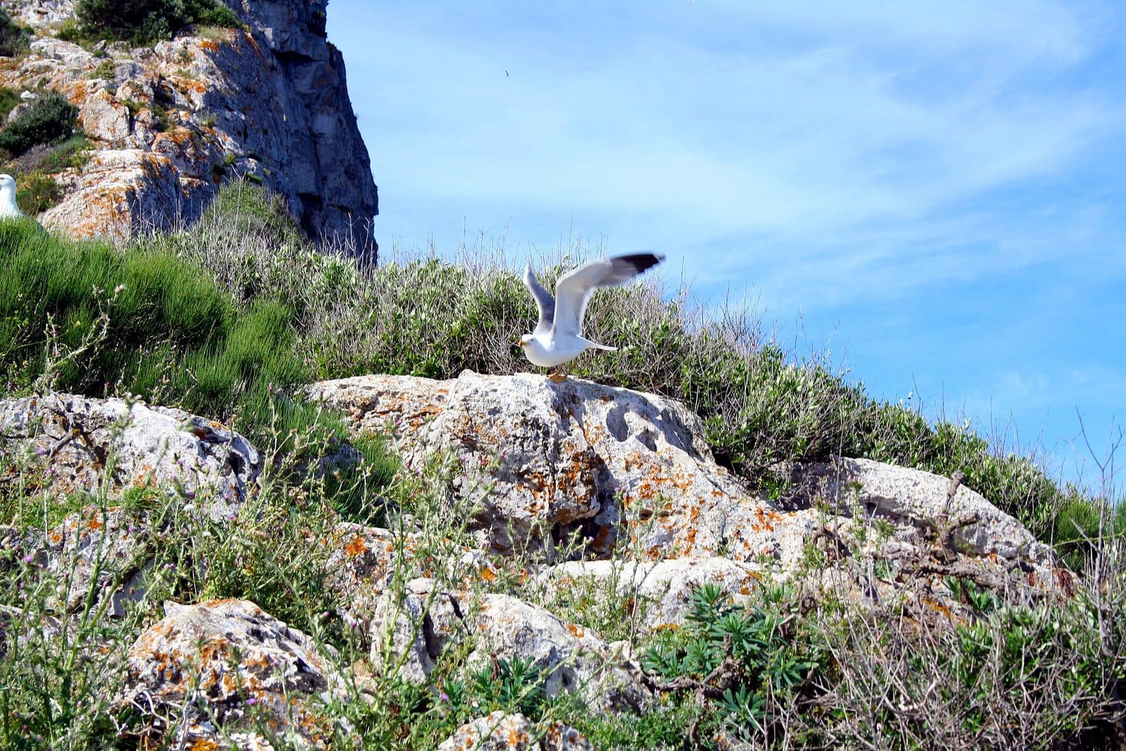 Parc natural de Sa Dragonera, Mallorca
