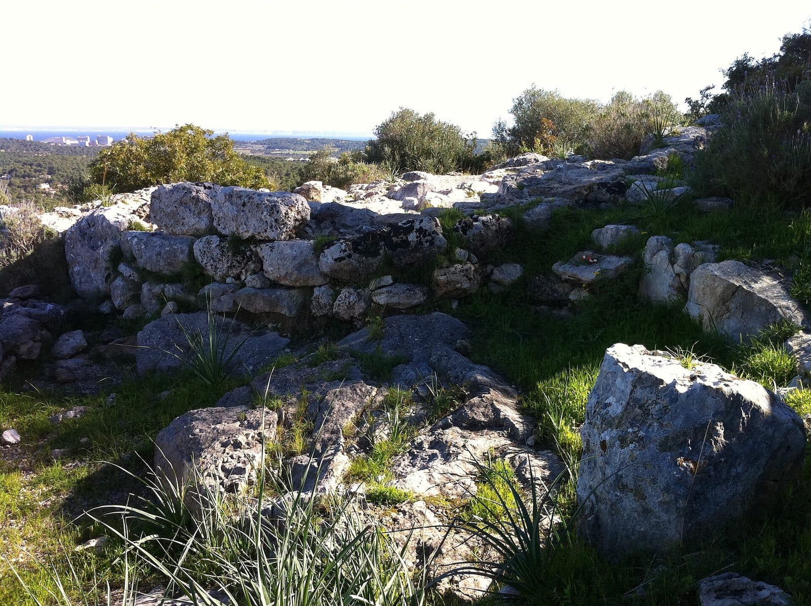 Puig de Sa Morisca, Mallorca