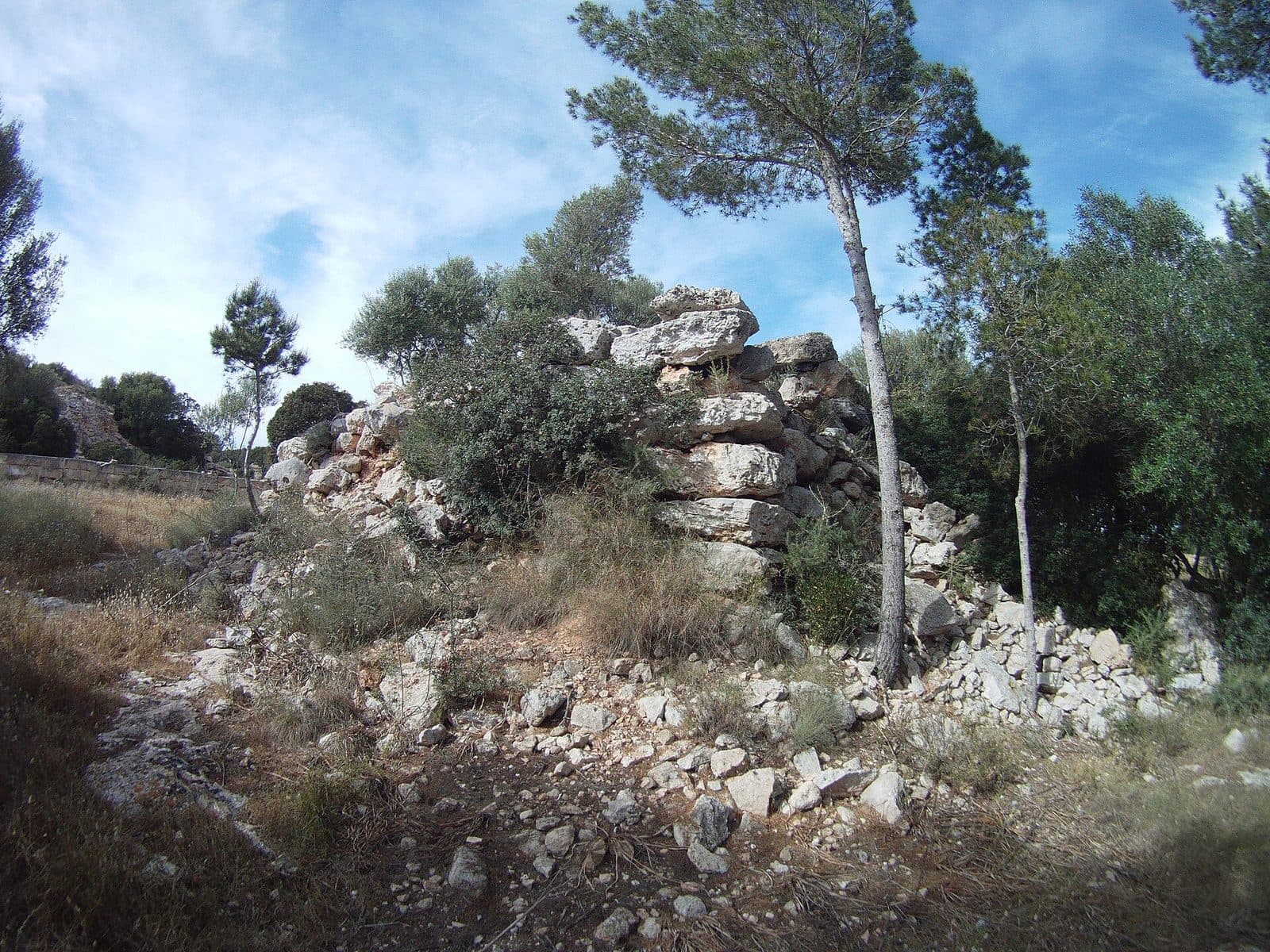 Recinte cerimonial de ses Talaies de Cala Pi, Mallorca