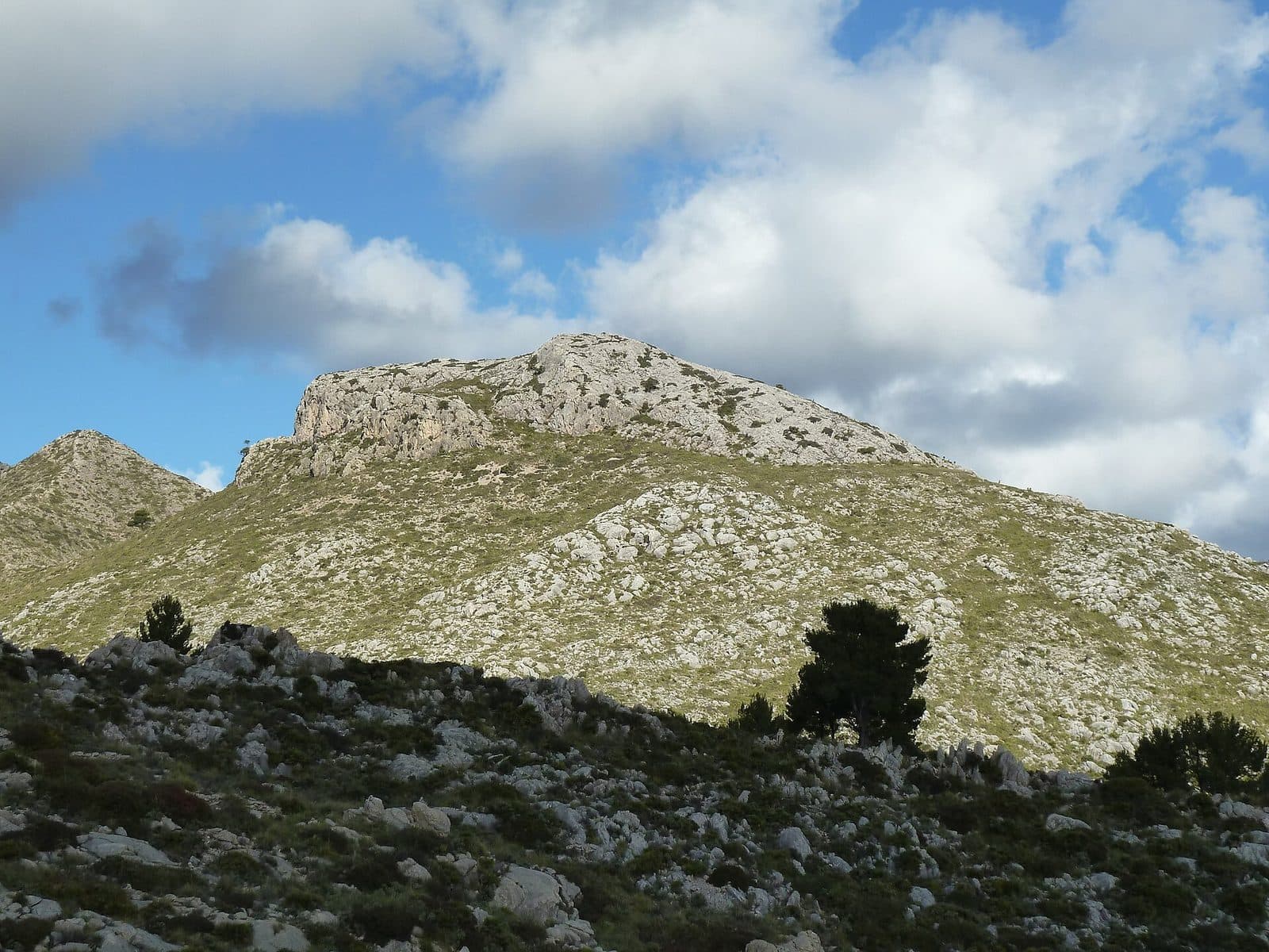 sa Vinya, Mallorca