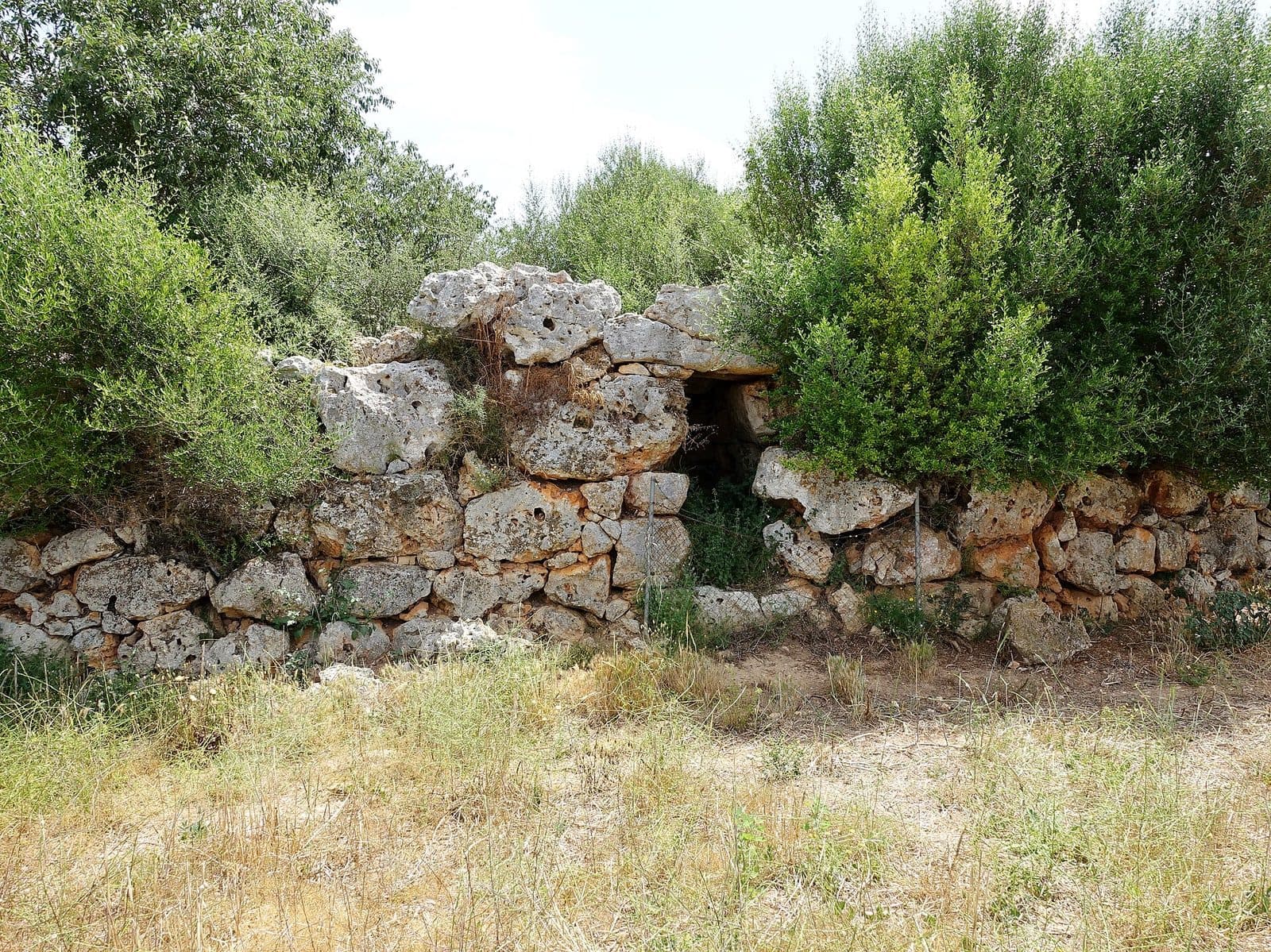 Ses Talaies de Can Xim, Mallorca