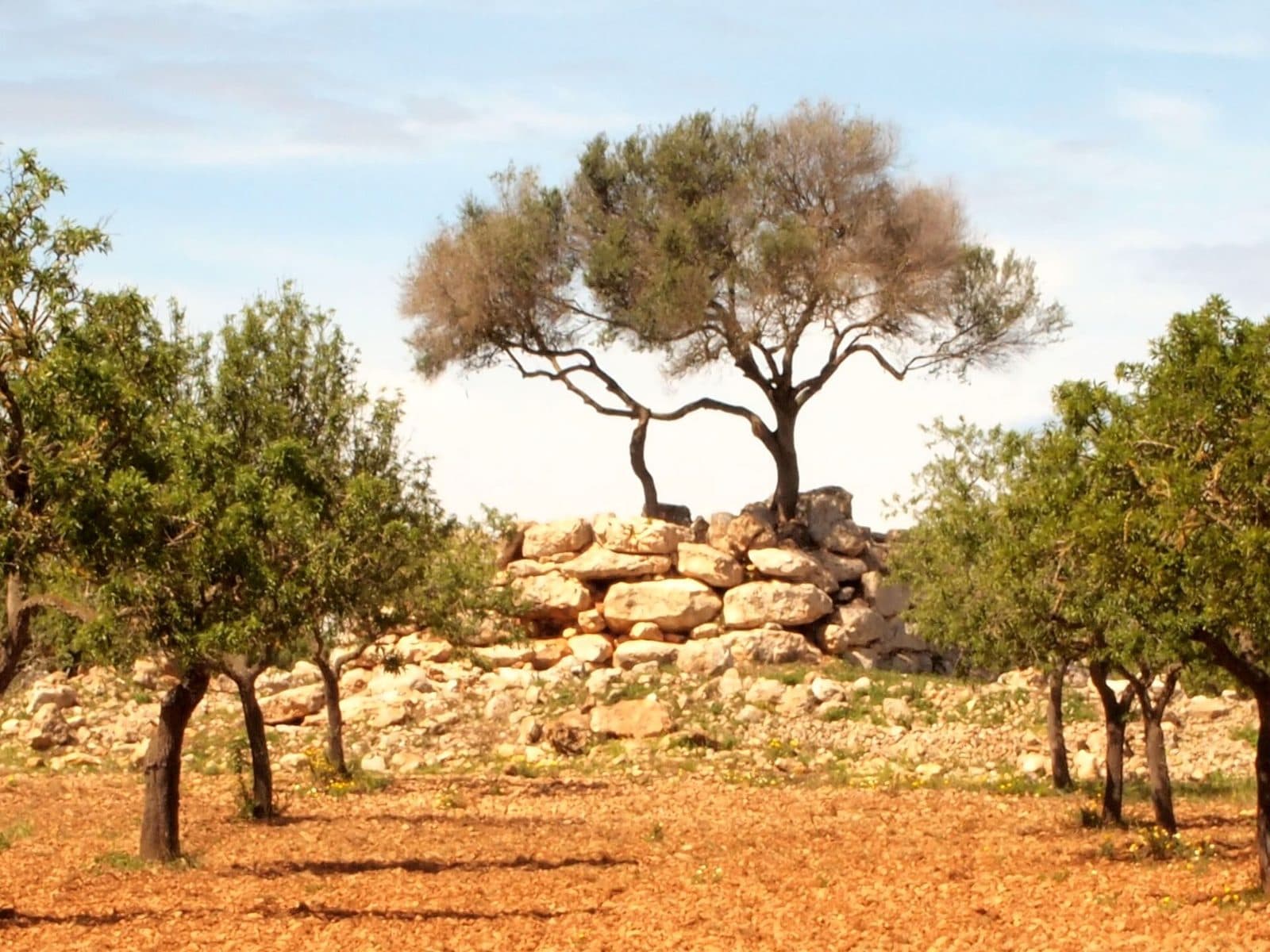 Talaiot de Capocorb d'en Jaquetó, Mallorca