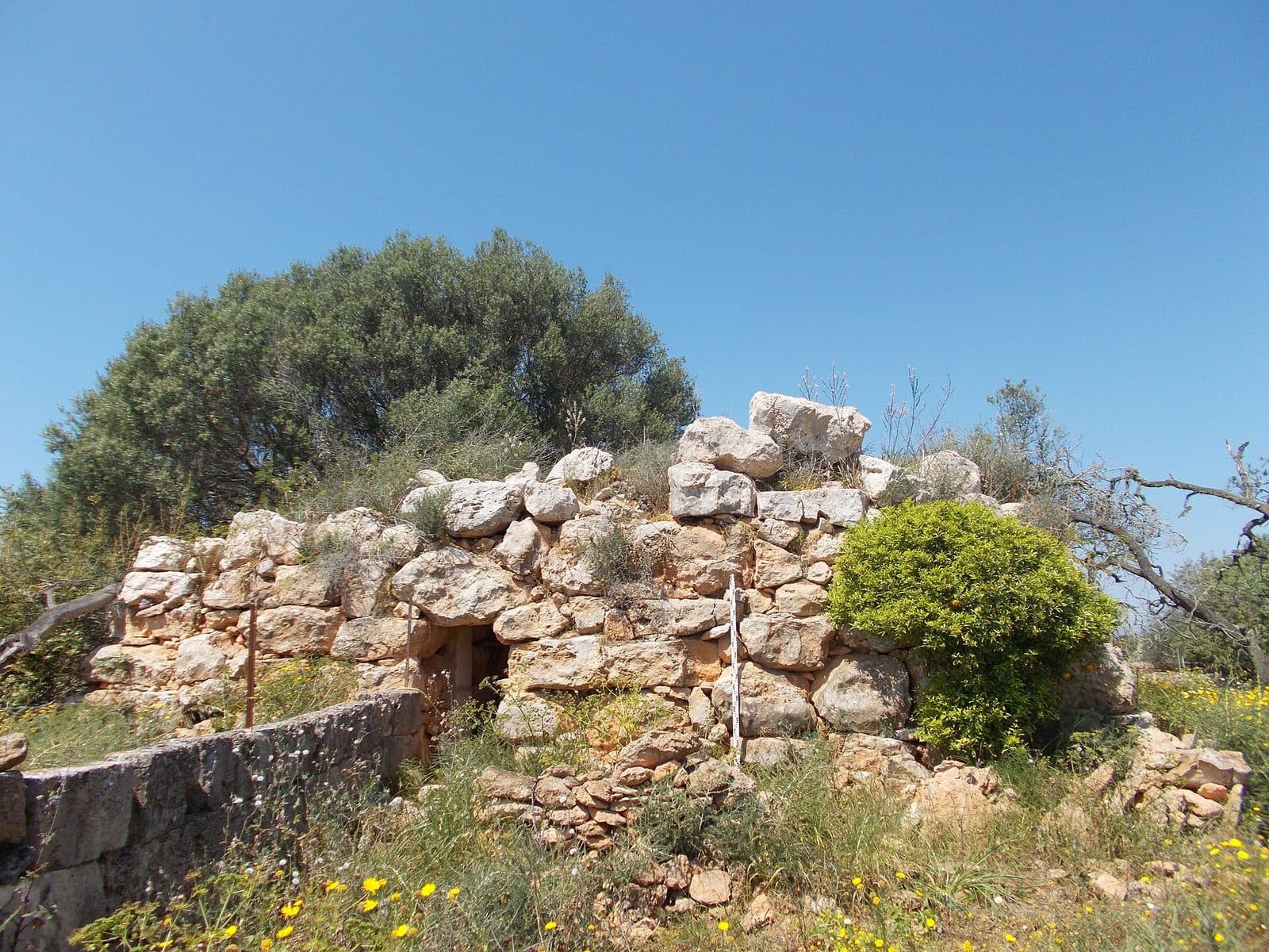 Talaiot de Son Taixaquet d'en Ramonell, Mallorca