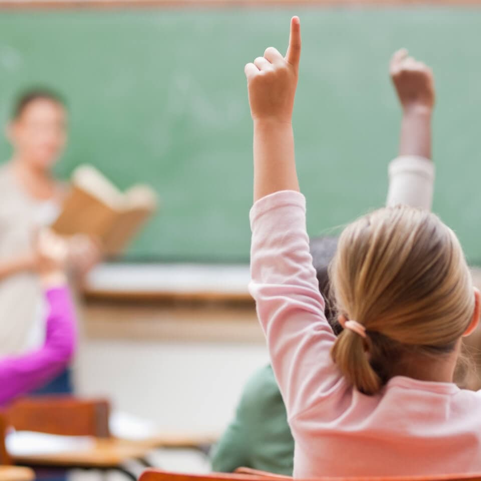 mallorca escuela