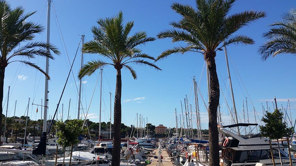 Firewall – lloguer de Bavaria Cruiser 51 a Mallorca