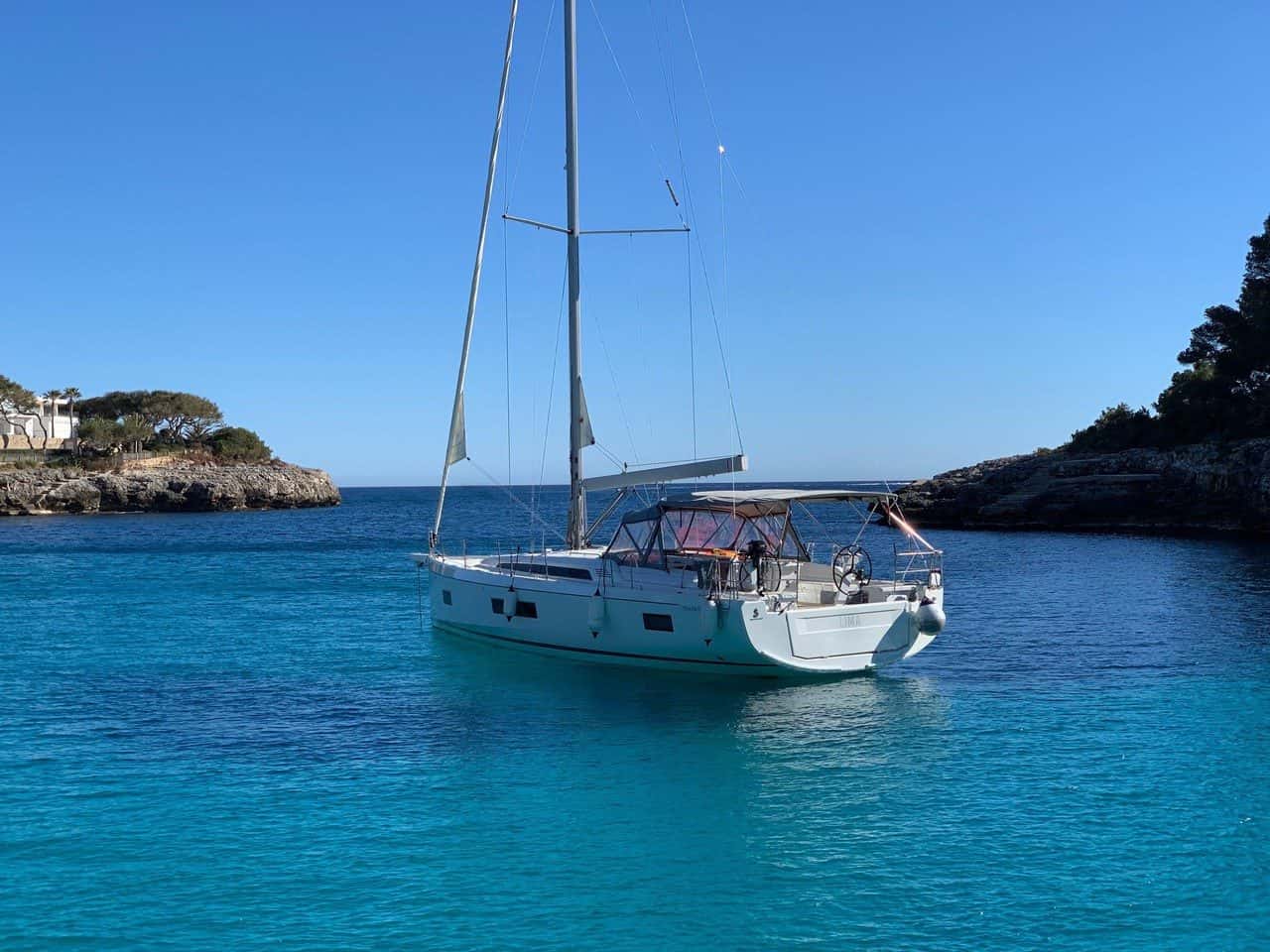 Lima auf Mallorca 10