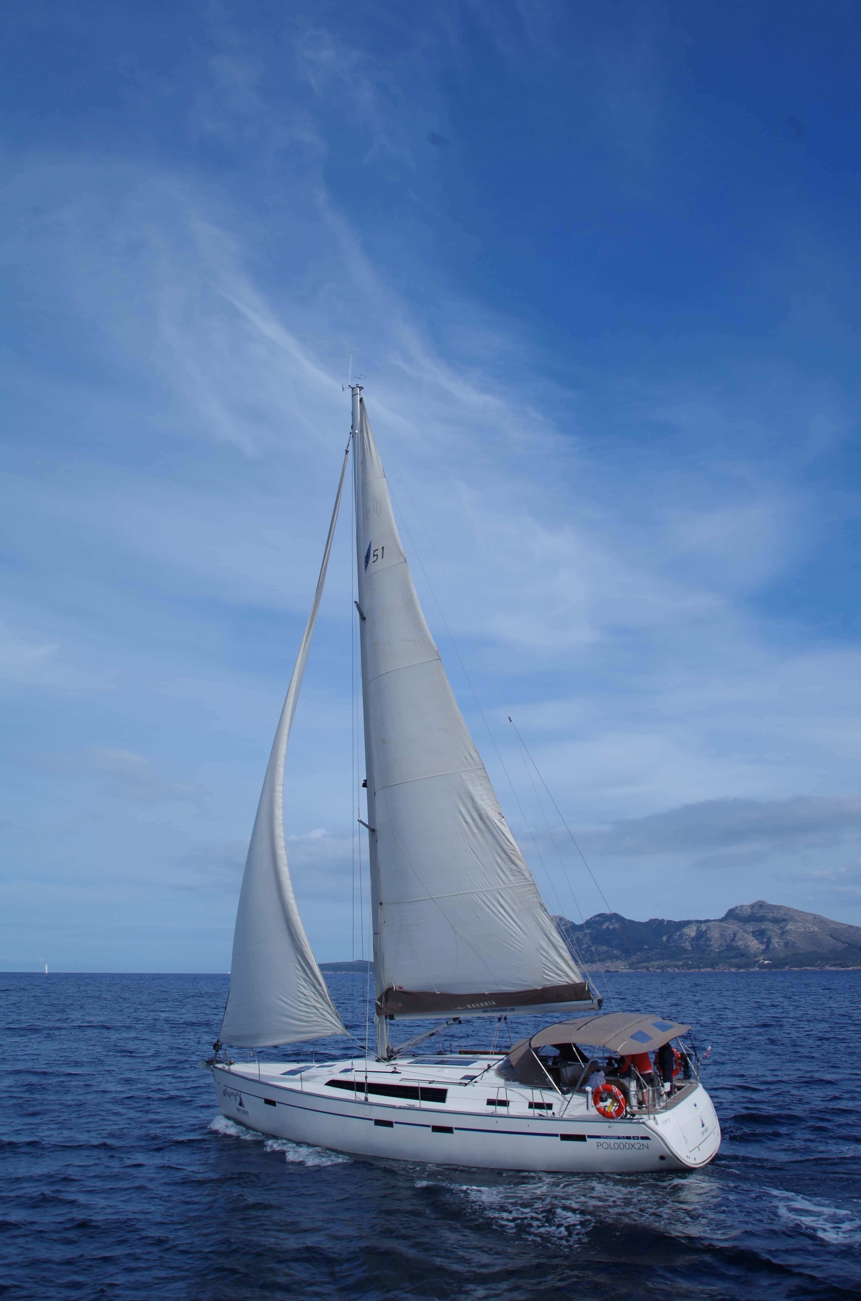Papaya a Mallorca 10